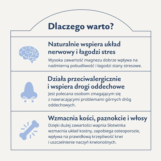 Karuzela__dlaczego-warto.webp