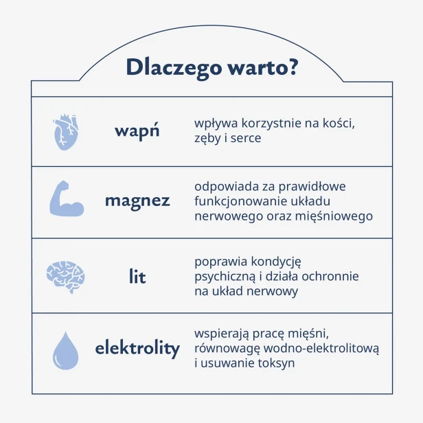 Karuzela__dlaczego-warto.webp