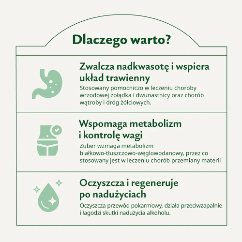 Karuzela__dlaczego-warto.webp