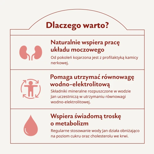 Karuzela__dlaczego-warto.webp
